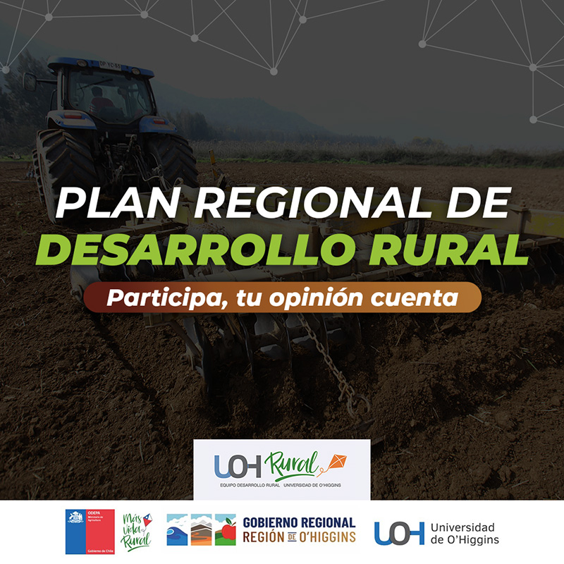 banner consulta rural