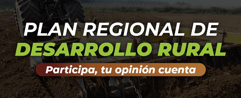 plan desarrollo rural