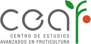 ceaf logo
